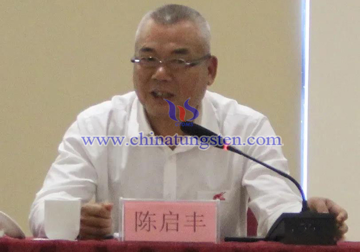 中國鎢業(yè)協(xié)會主席團執(zhí)行主席、廣東翔鷺鎢業(yè)股份有限公司董事長陳啟豐