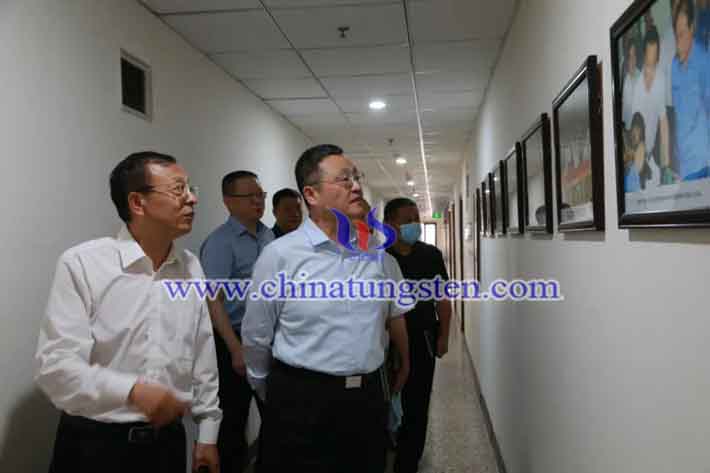葛紅林書記一行到鎢協(xié)調研指導工作圖片