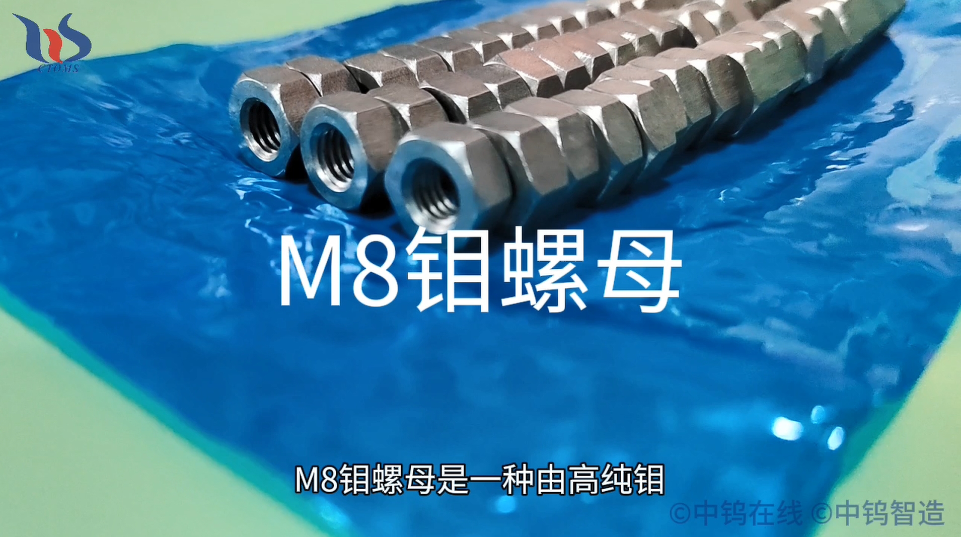 M8鉬螺母圖片