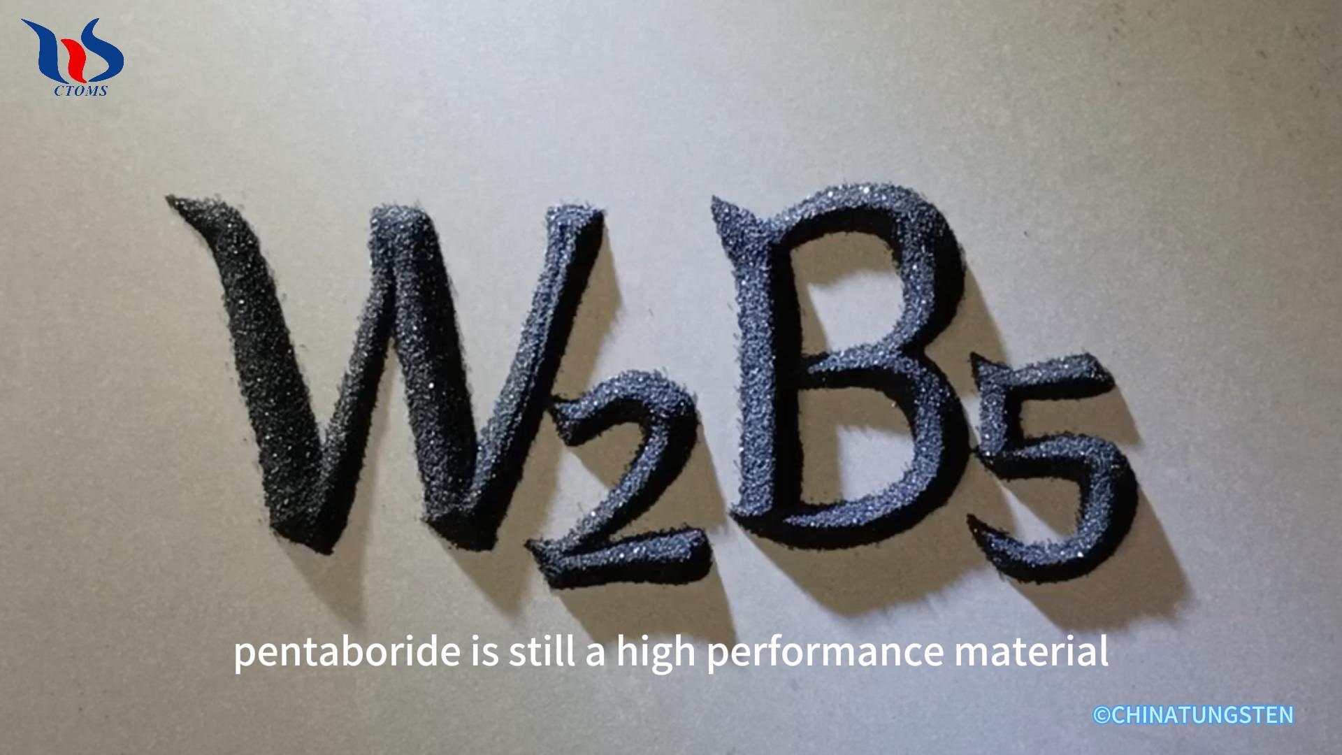 W2B5 photo