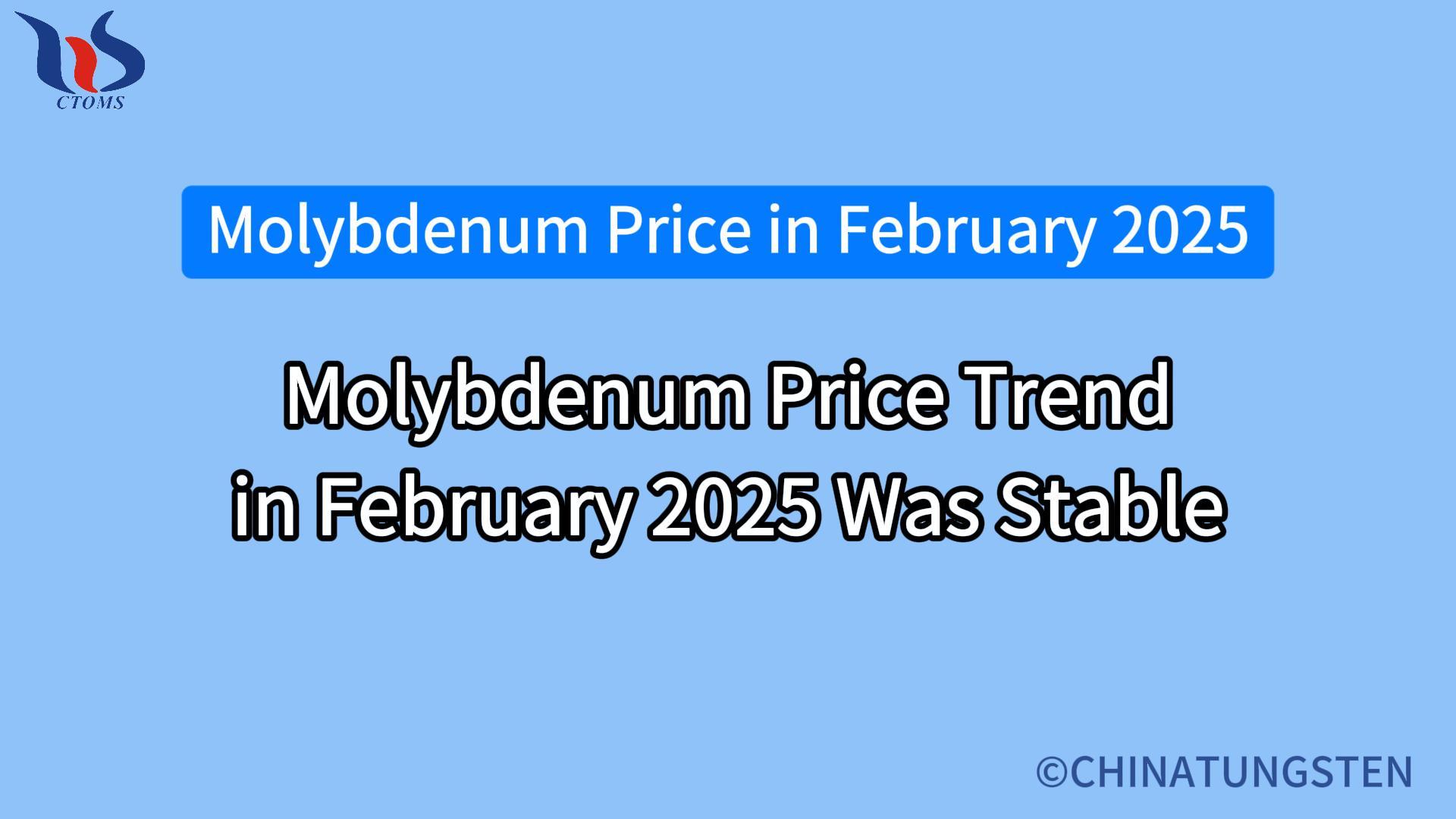 molybdenum price trend in february 2025 was stable