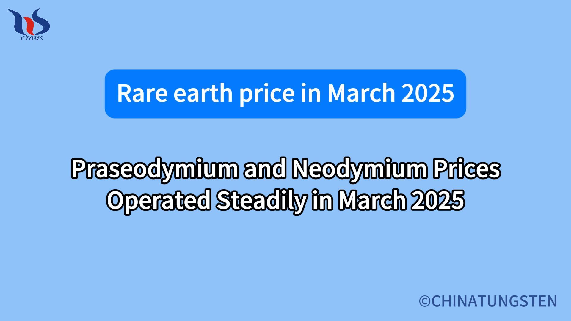 what is the rare earth market in march 2025