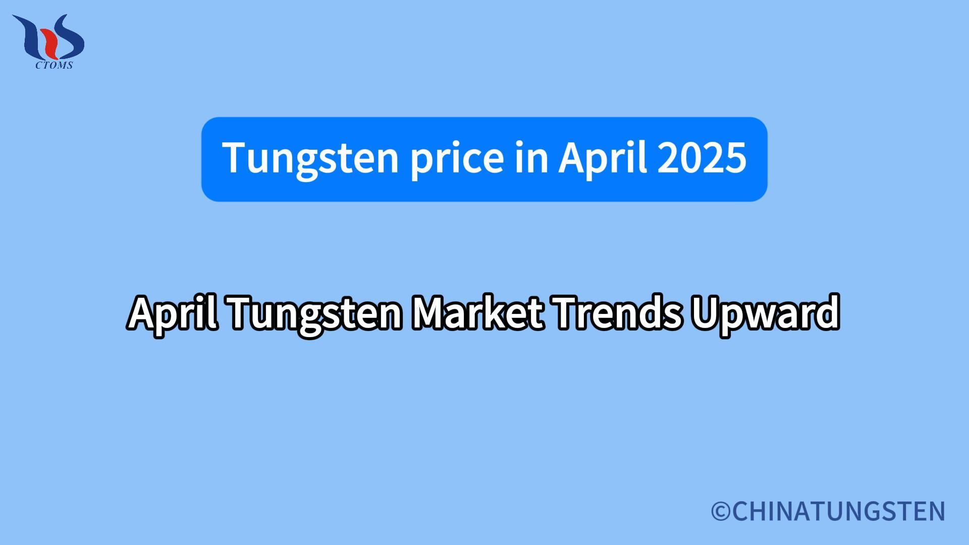 What is the price of tungsten in april 2025