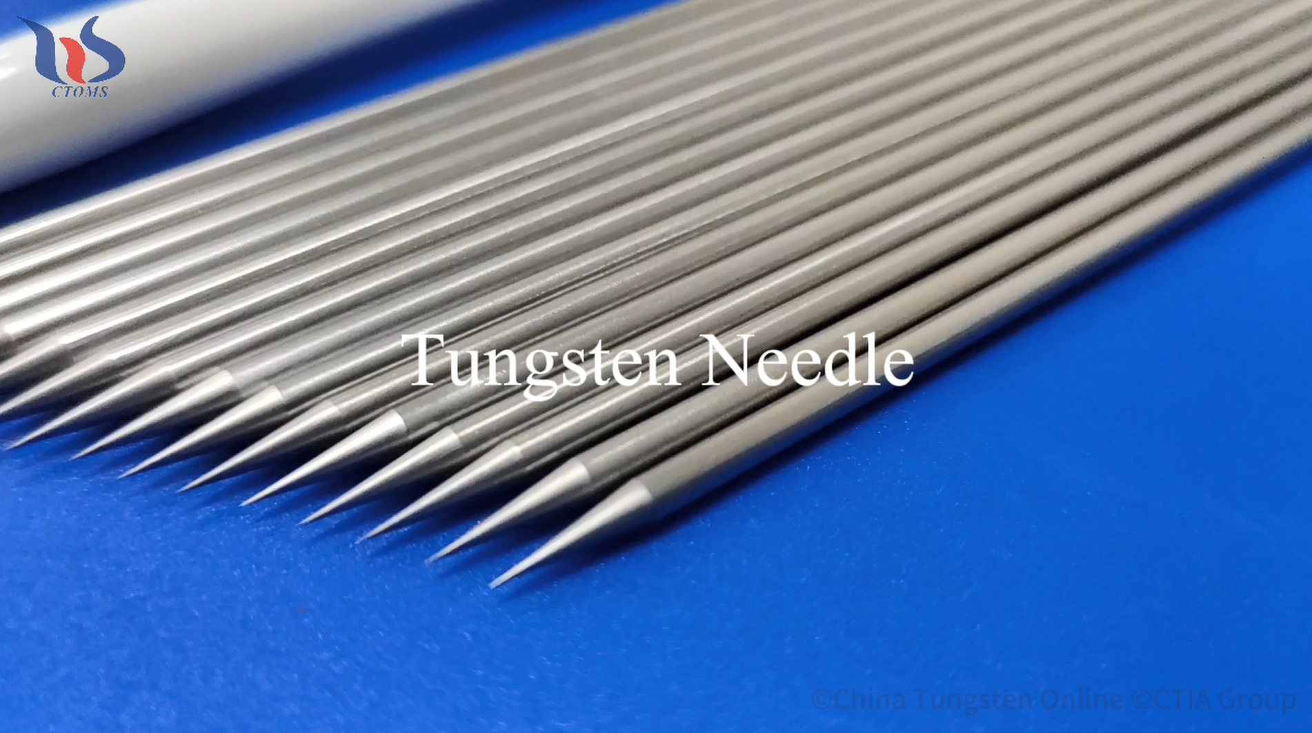 Tungsten Needle Photo