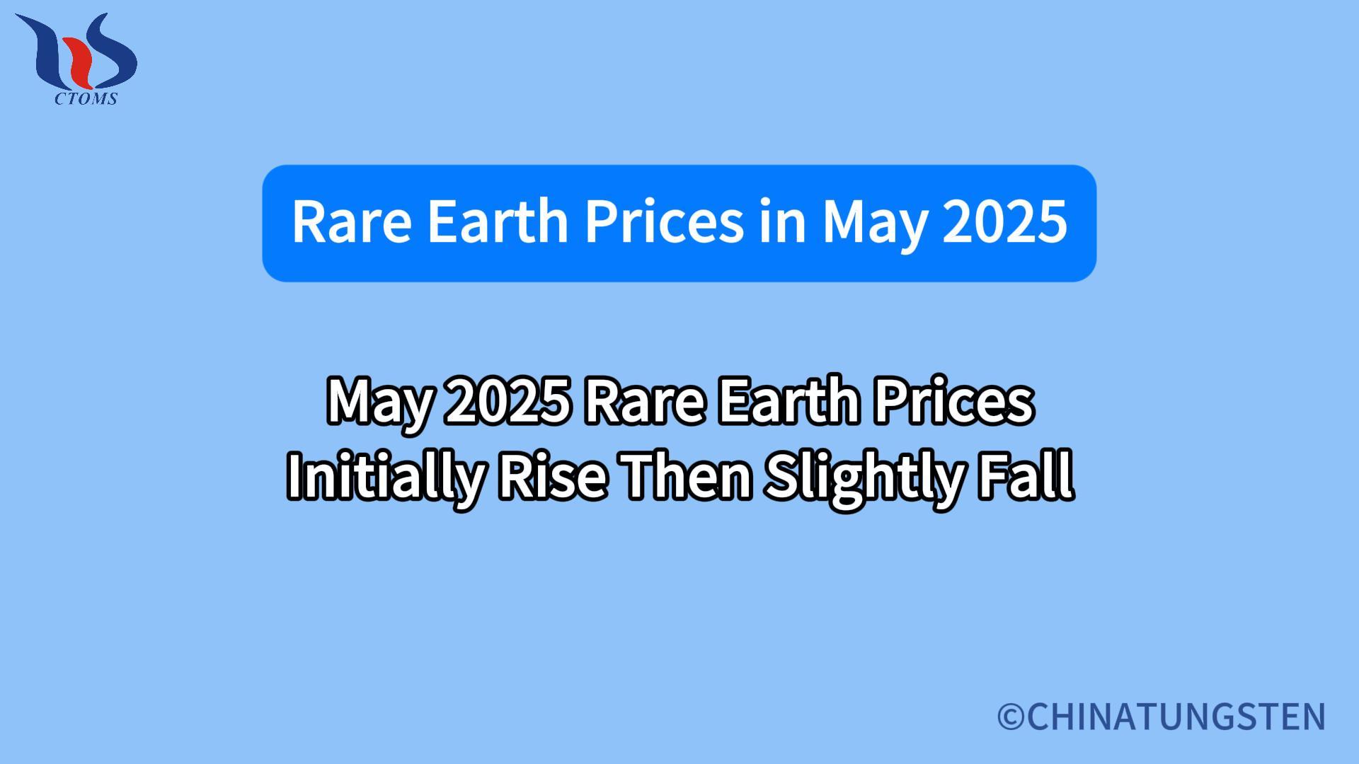 What is the rare earth market in May 2025
