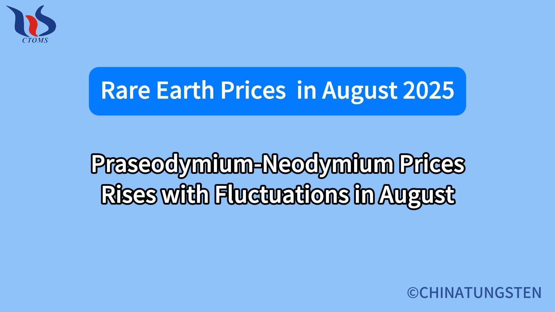 What will the rare earth market look like in august 2025