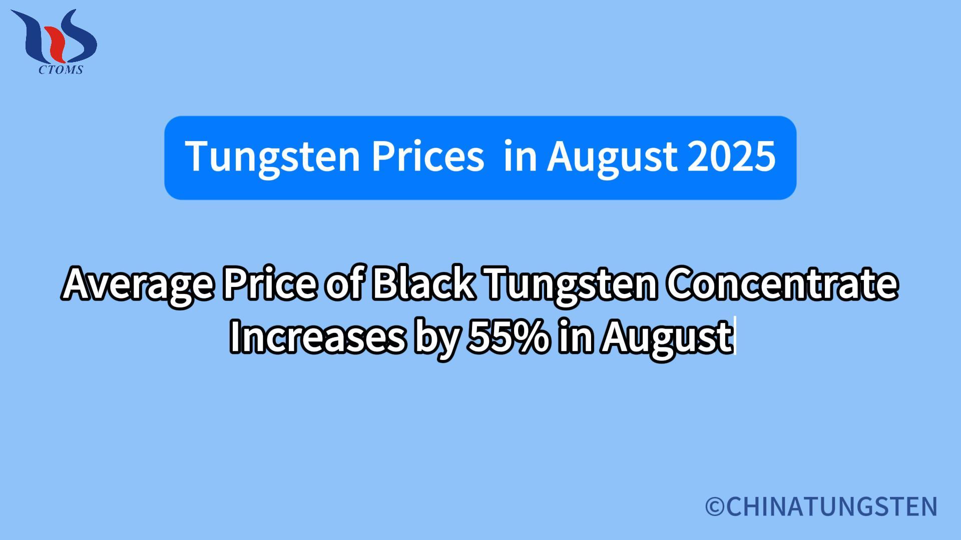 What will the tungsten concentrate market look like in august 2025
