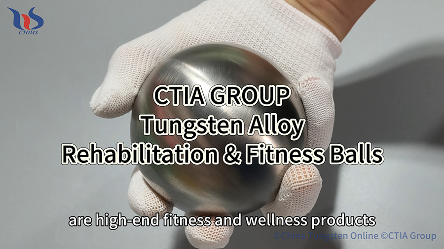 CTIA GROUP Tungsten Alloy Rehabilitation & Fitness Balls