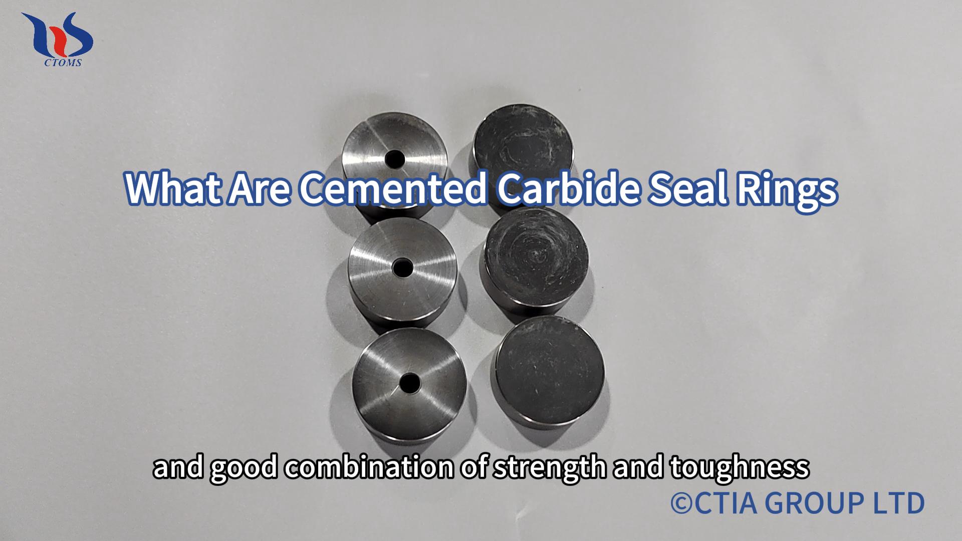 cemented carbide seal rings