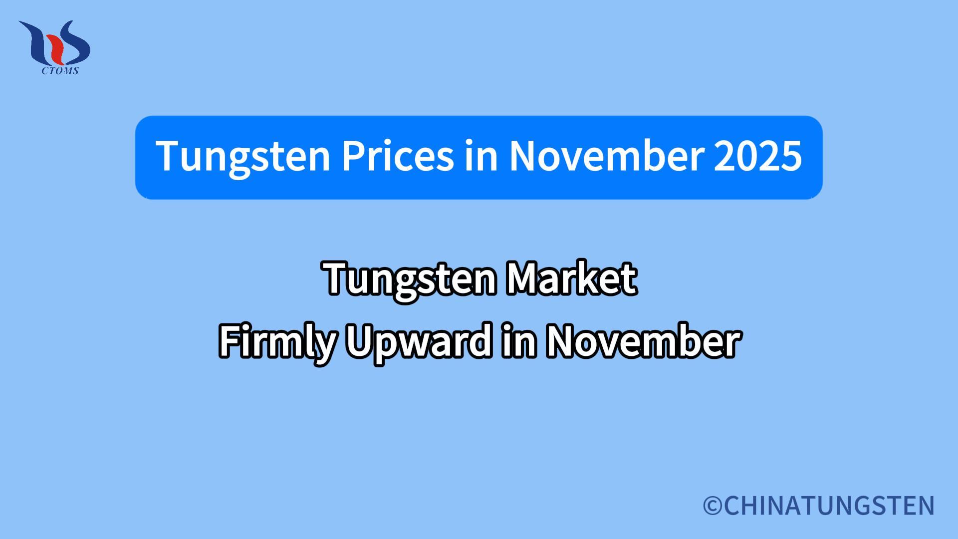 what will the tungsten price be in november 2025
