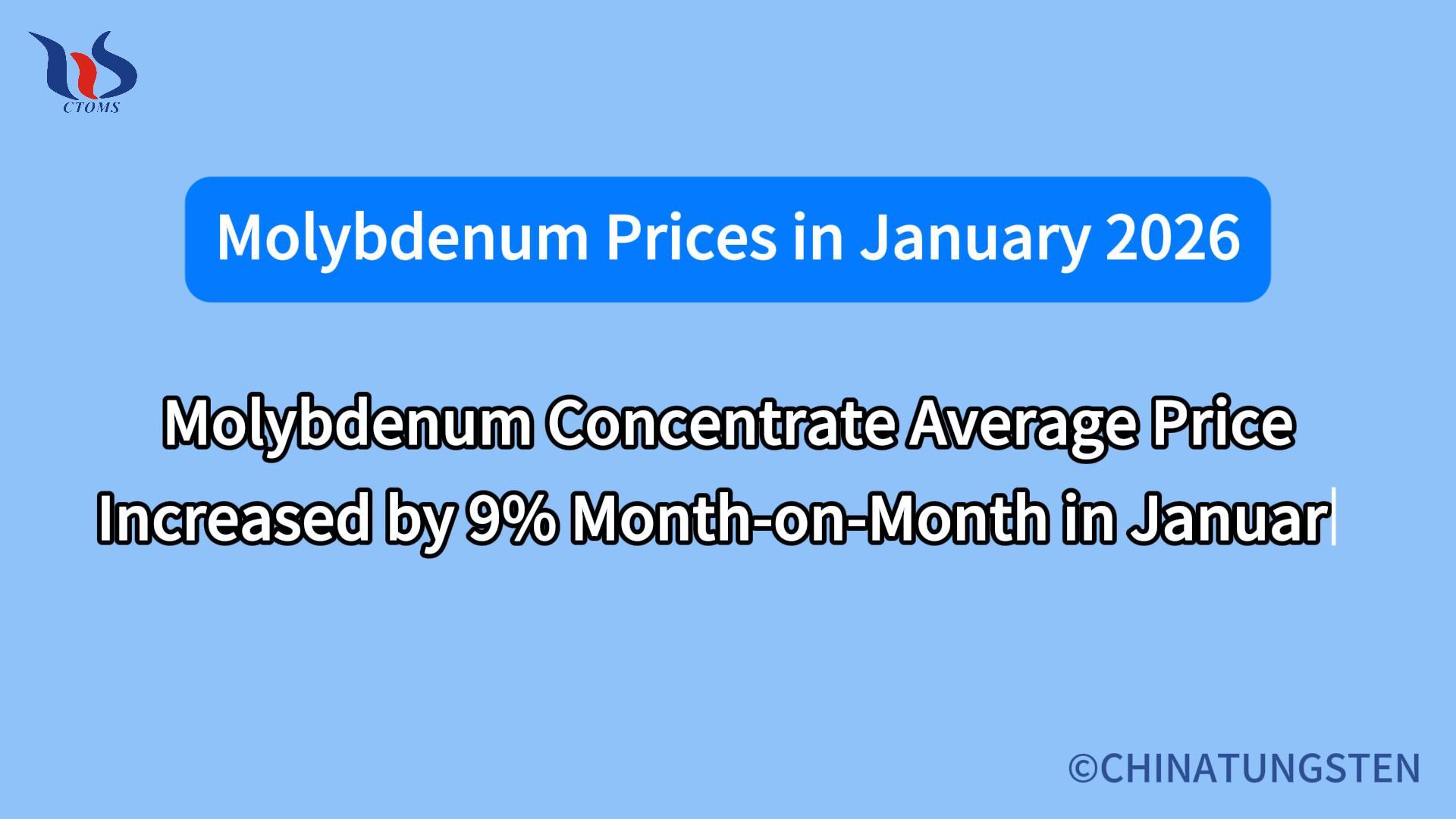 what will the molybdenum market be like in january 2026 en