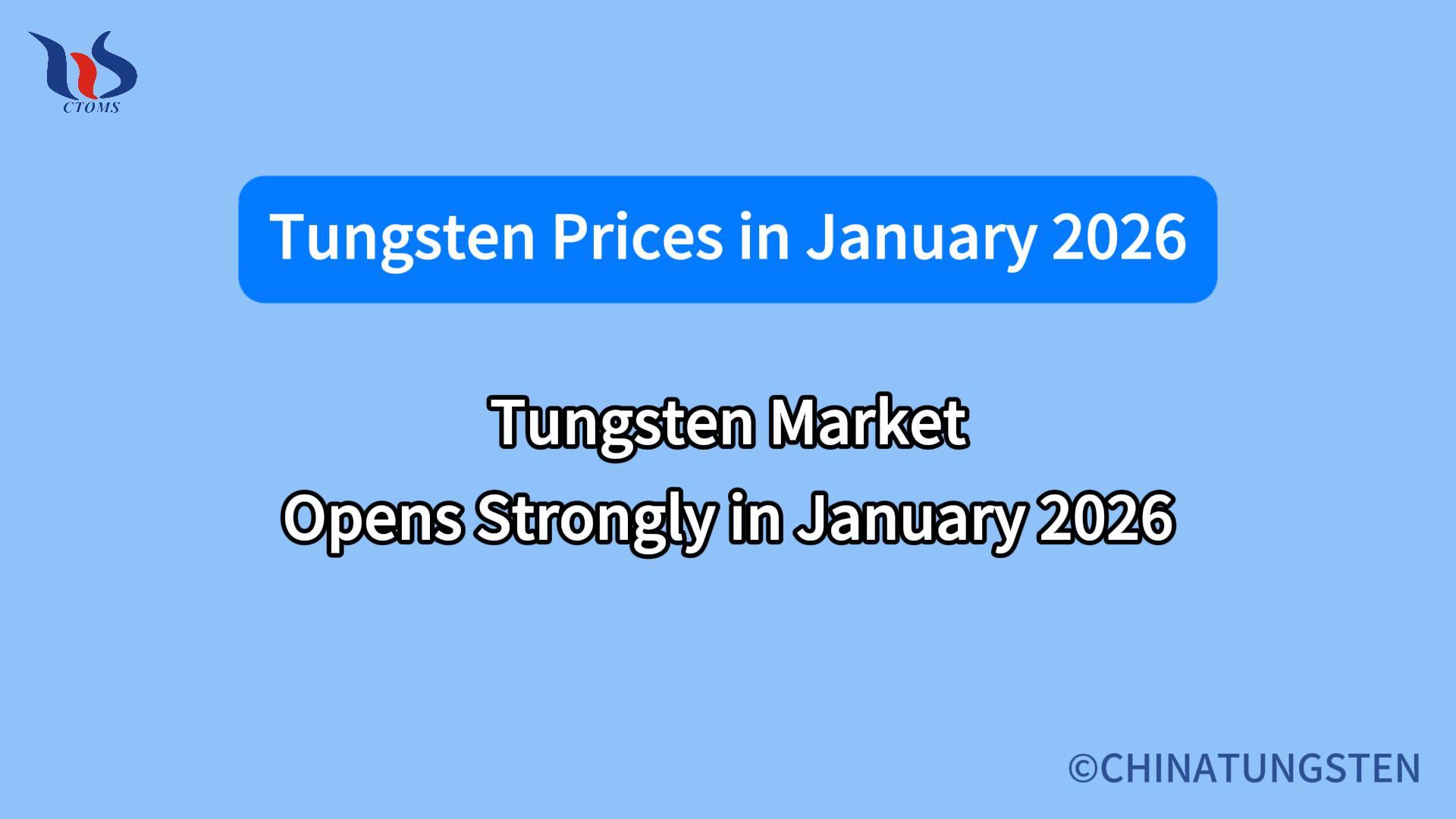 what will the tungsten market be like in january 2026 en