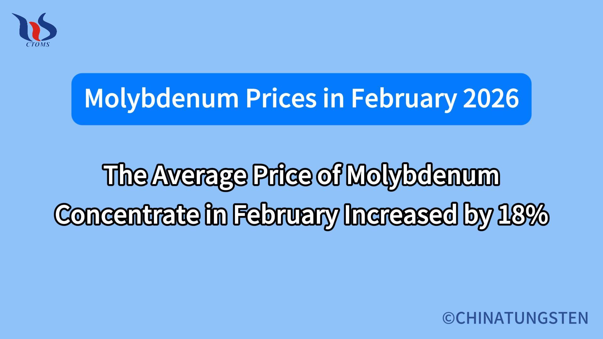 What will the molybdenum price be like in february 2026