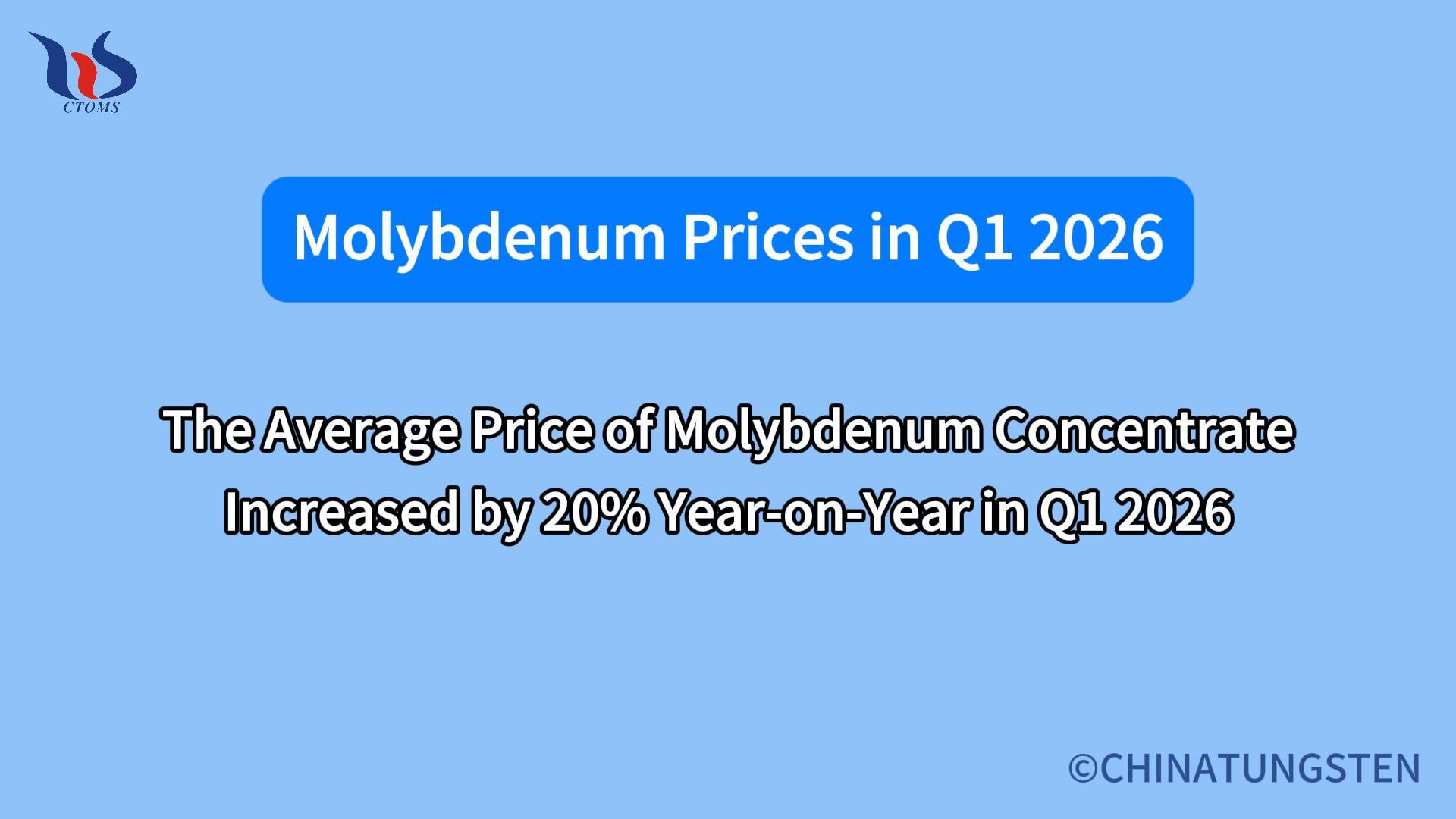 What was the molybdenum market like in the first quarter of 2026