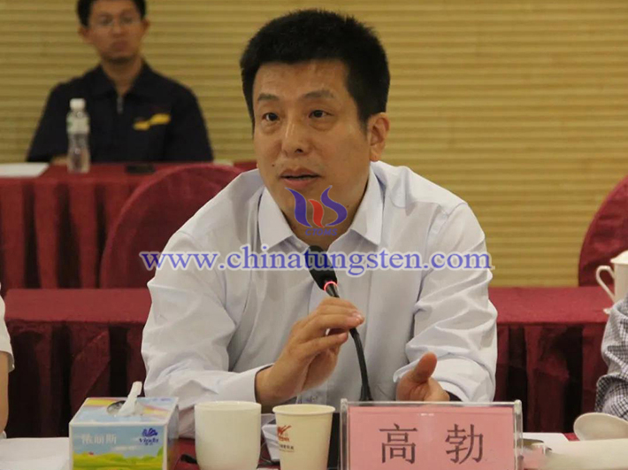 中國鎢業(yè)協(xié)會(huì)主席團(tuán)主席、中鎢高新材料股份有限公司副總經(jīng)理高勃