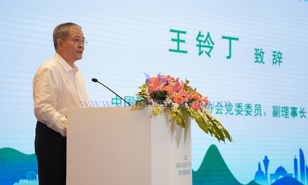 中國職業(yè)安全健康協(xié)會(huì)黨委委員、副理事長 王鈴丁