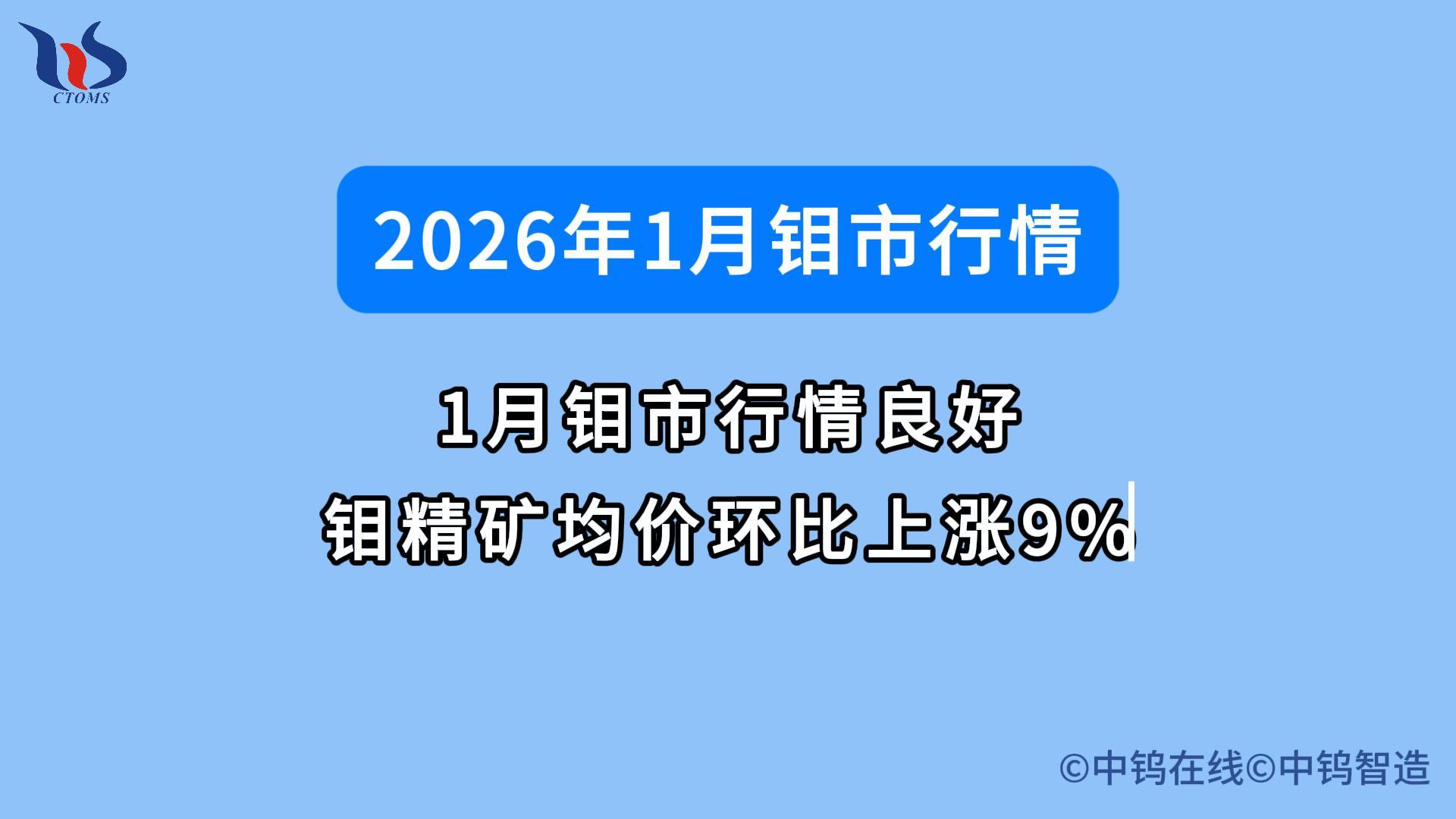 2026年1月鉬市行情如何