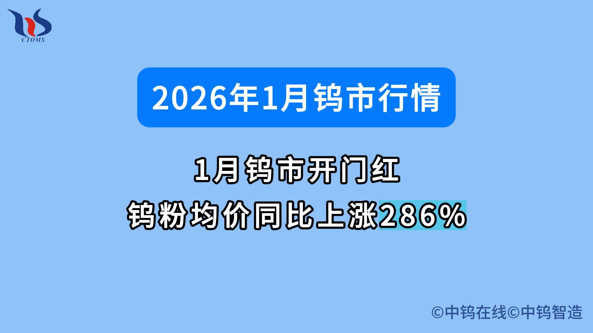 2026年1月鎢市行情如何