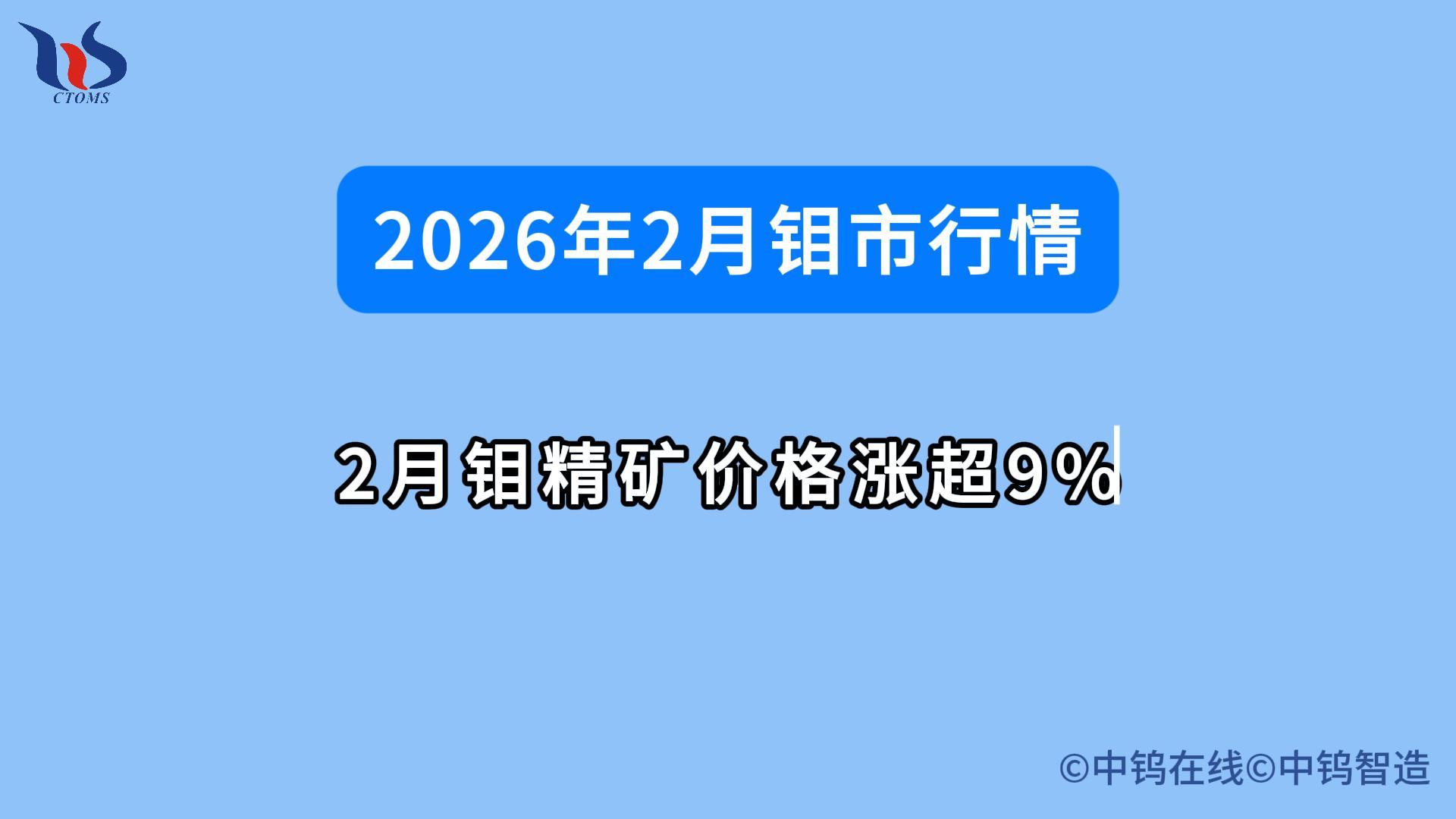 2026年2月鉬價(jià)行情如何