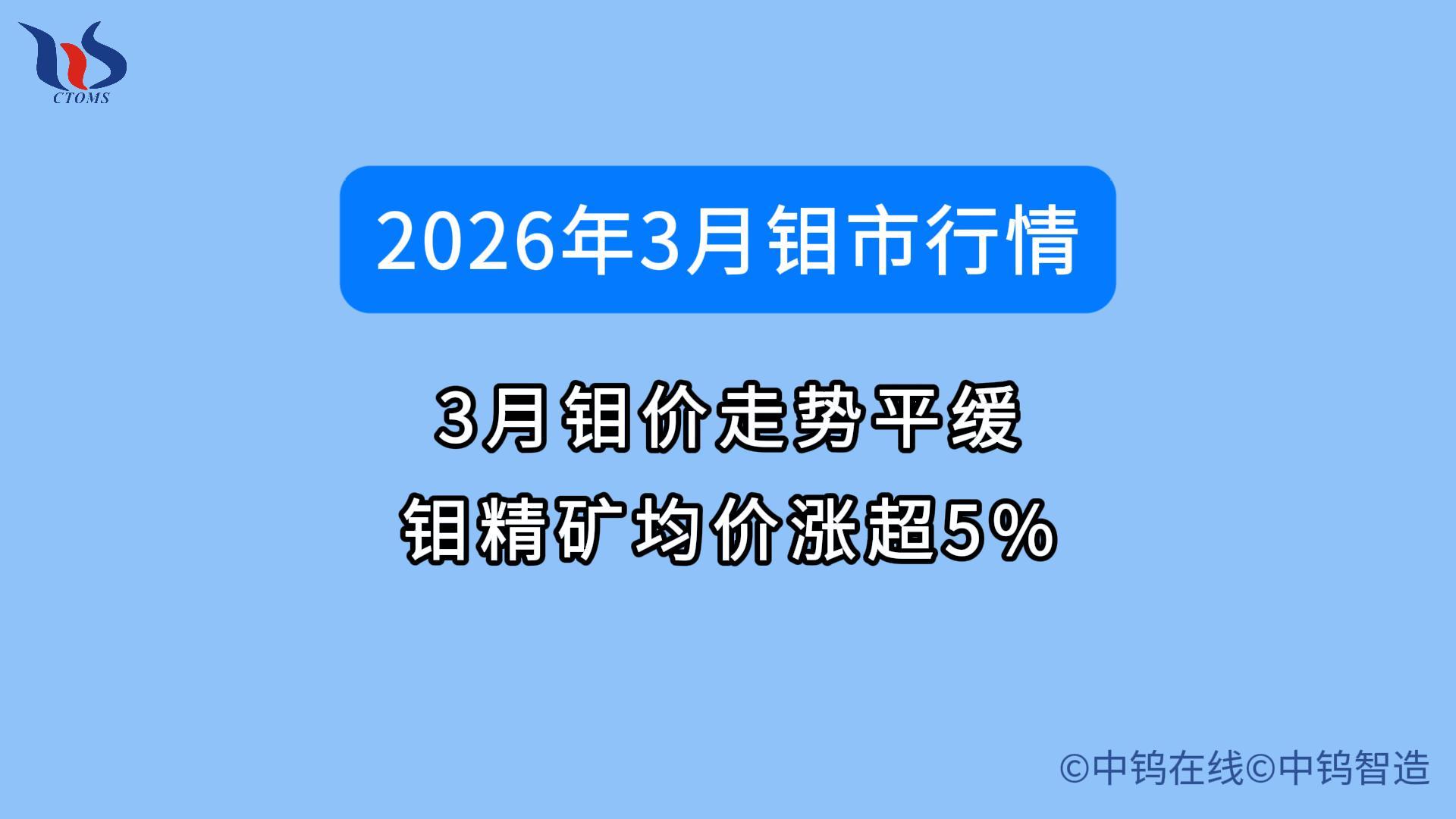 2026年3月鉬市行情如何