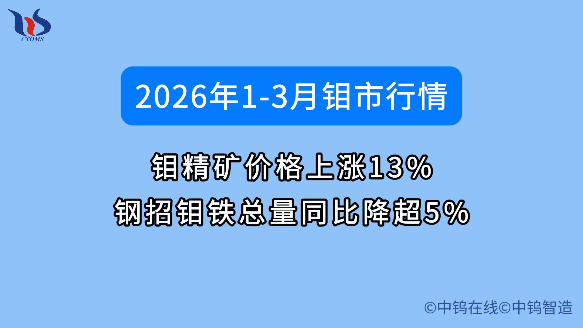 2026年第一季度鉬市行情如何