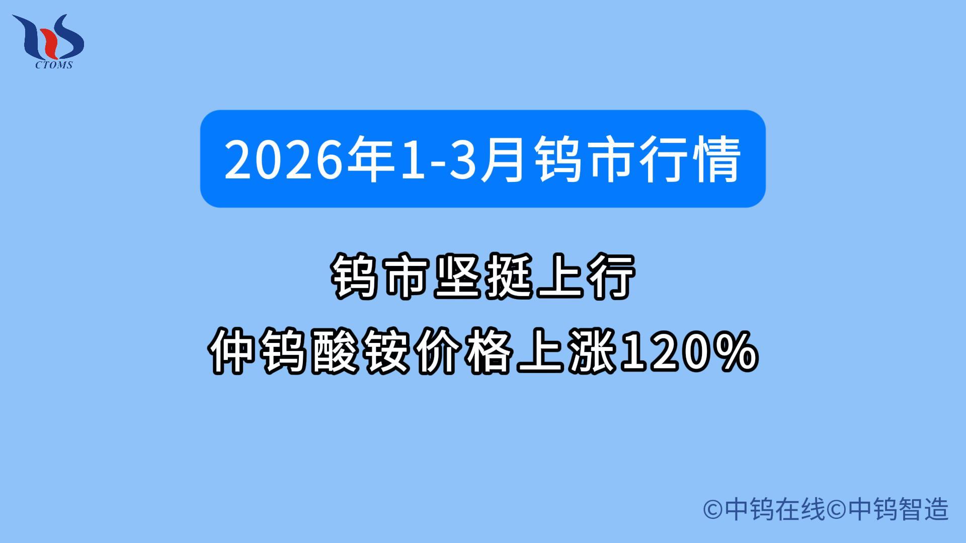2026年第一季度鎢市行情如何