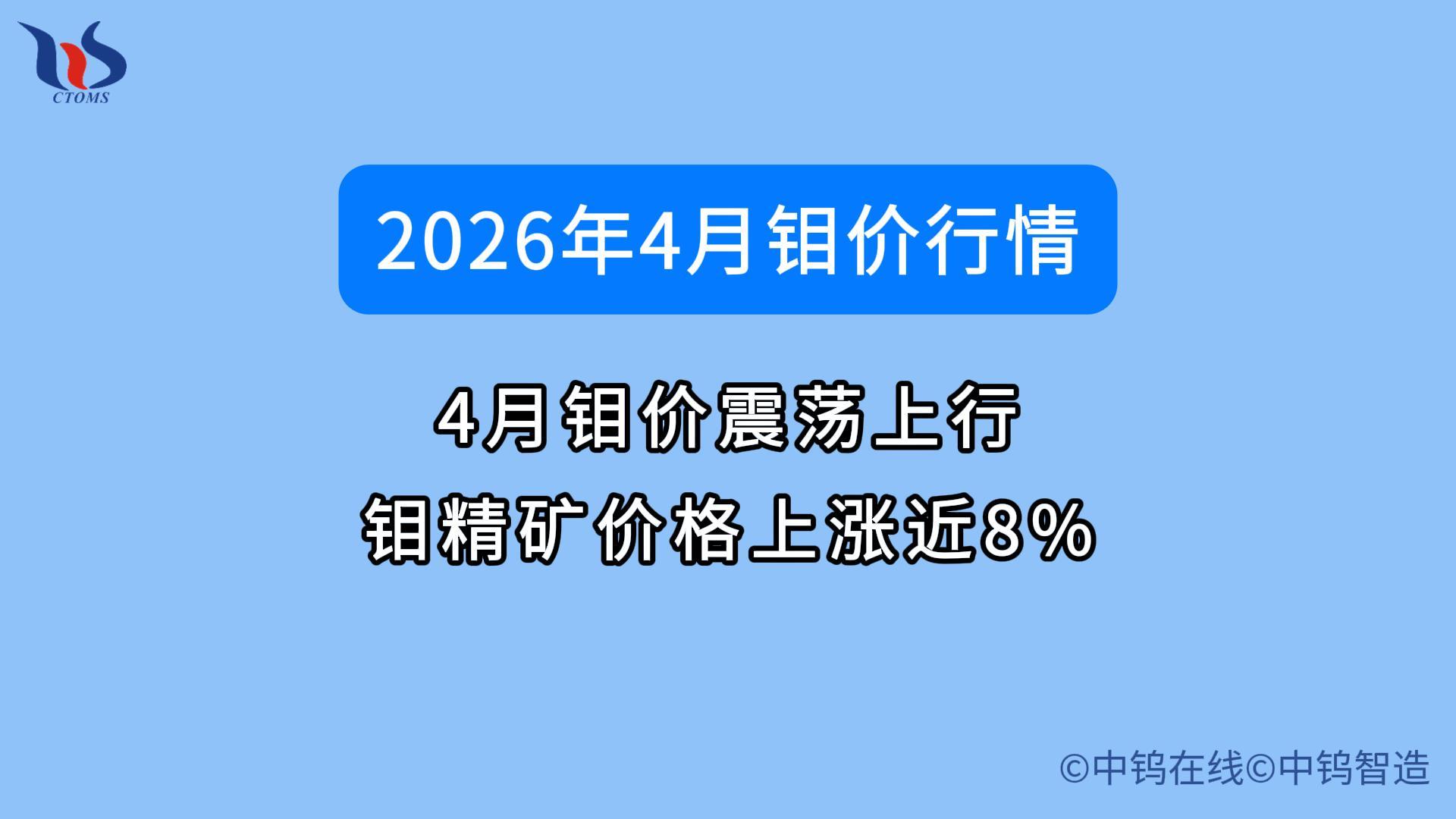 2026年4月鉬價如何